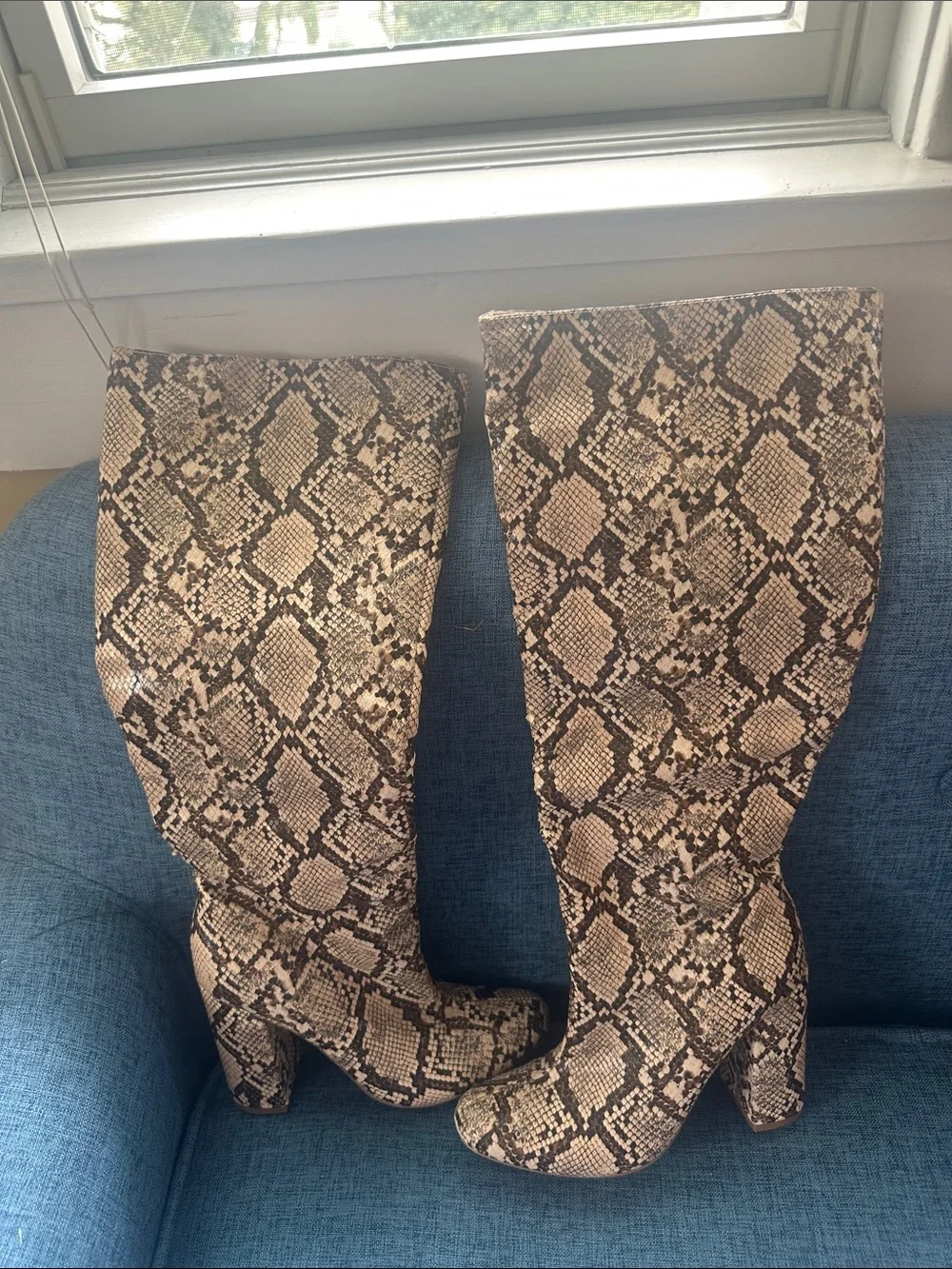 Shoe Dazzle Snake-Print Over-the-Knee Boots in Brown